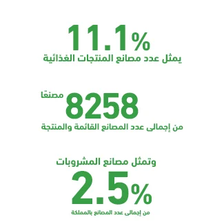المشروع كفرصة استثمارية