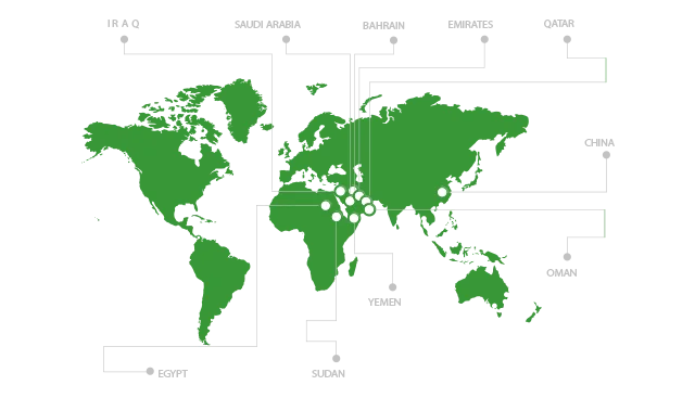 The number of services implemented in the countries of branches and agents of Mashroo3k Consulting