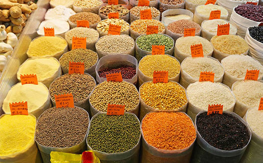 دراسه جدوي مجمع تنمية زراعية باستثمار 2 مليون دولار
