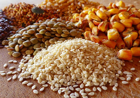 دراسة مصنع الأعلاف المركزة برأس مال 11 مليون دولار