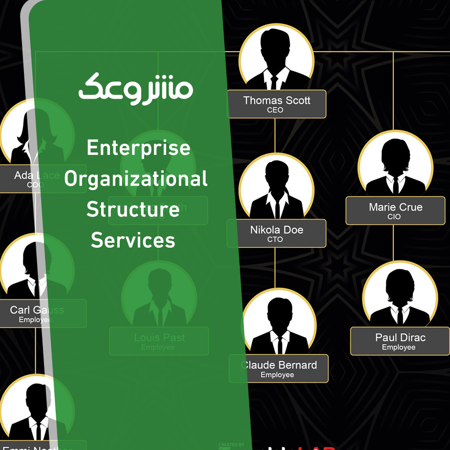 Enterprise Organizational Structure - مشروعك