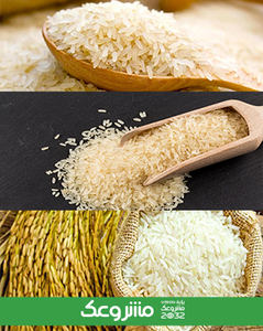 لماذا تستثمر في قطاع الأرز؟