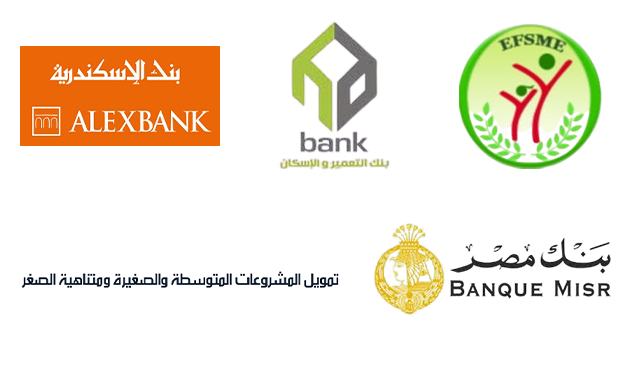 شراكاتنا التمويلية في مصر: تمويل يُحدث فرقاً في مسيرة أعمالك
