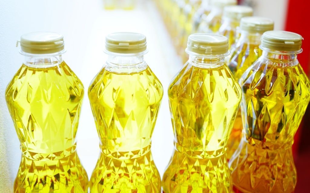 خدمات المشروع